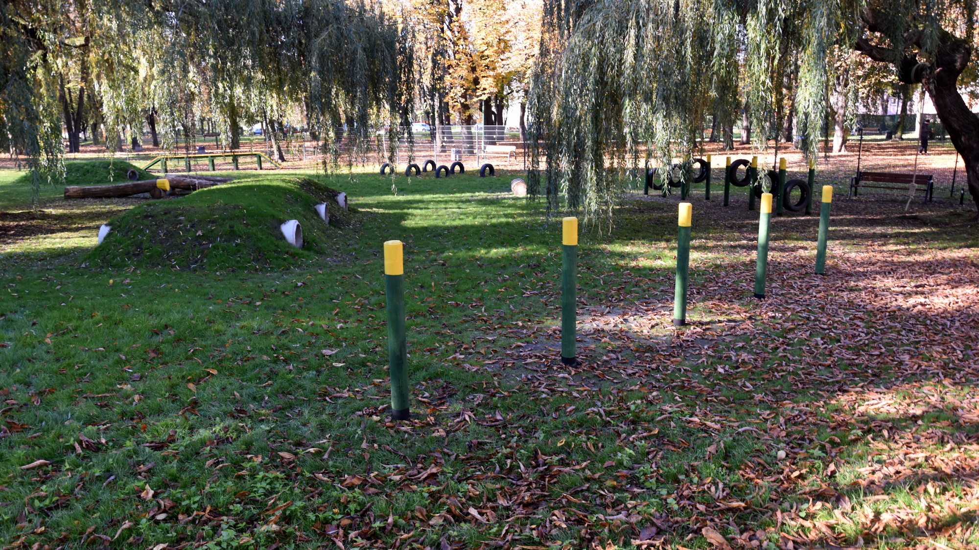 Widok na plac zabaw i urządzenia do zabaz z psem 