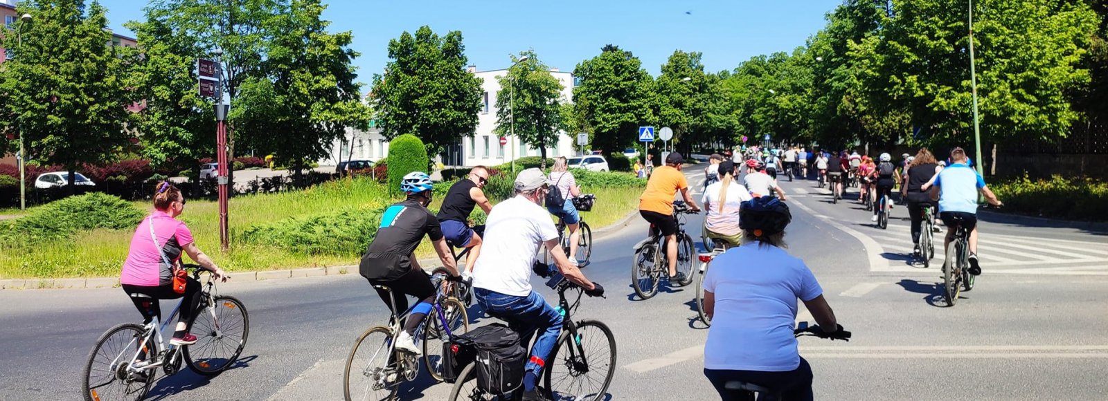 Duża grupa rowerzystów jadących drogą po mieście, dookoła zieleń