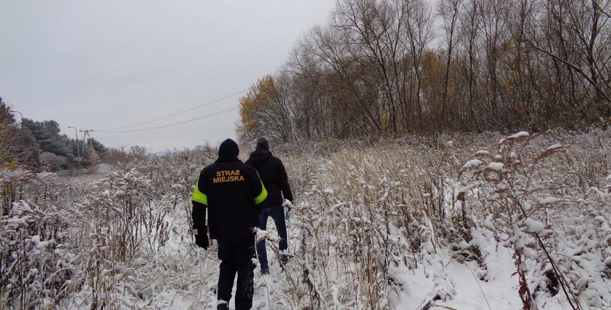 Zima, śnieg na łące, dwóch strazników miejskich idzie w kierunku lasu
