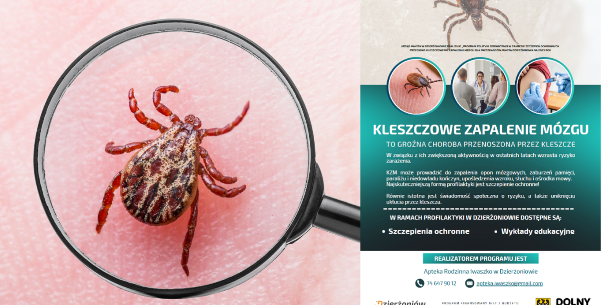 Kolaż złożony z plakatu informacyjnego o kleszczowym zapaleniu opon mózgowych i zdjęcia kleszcza