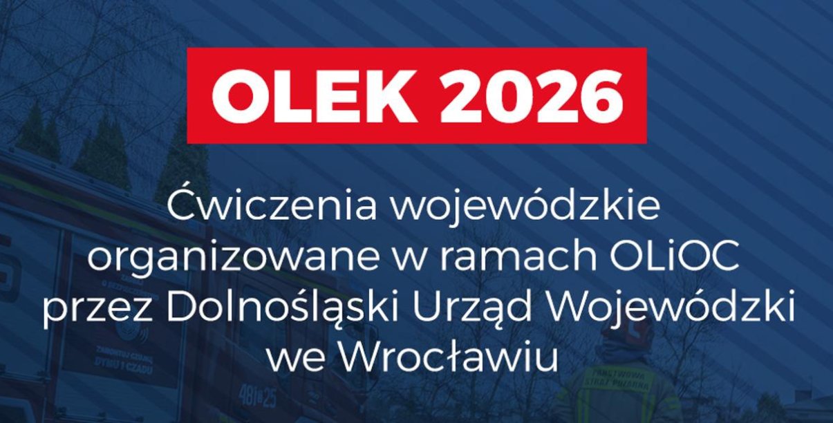 Grafika ozdobna z napisem Olek 2026