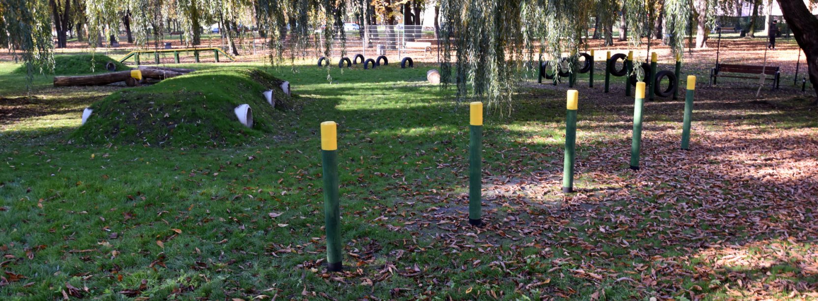 Ogrodzona część parku z urządzeniami do zabawy z psami 