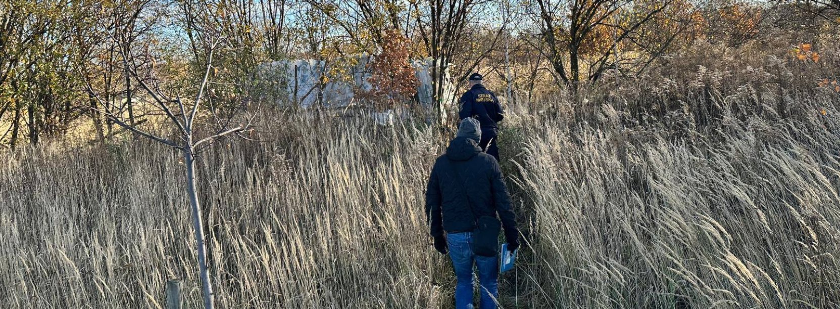 Teren nieużytków. Strażnik miejski i pracownik OPS-u zmierzają do przyczepy samochodowej ukrytej za drzewami