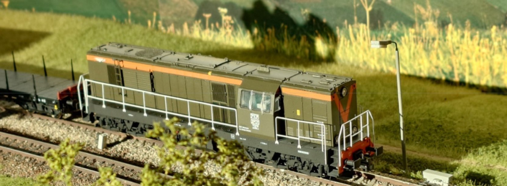 Miniaturka lokomotywy jadące po torach, w tle łąka