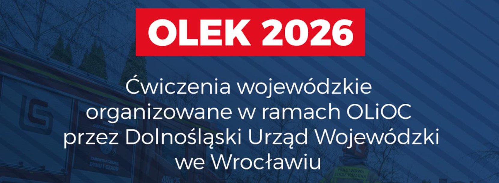 Grafika ozdobna z napisem Olek 2026