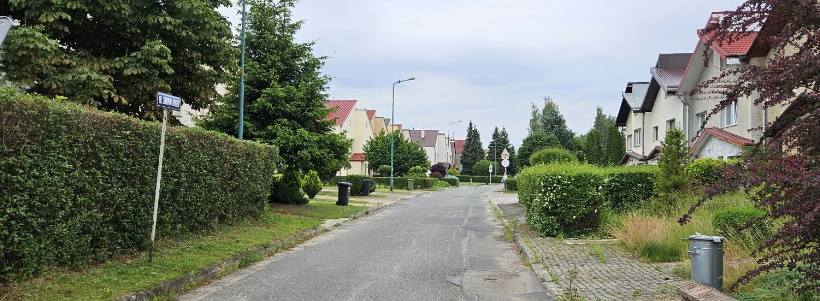 Asfaltowa droga pomiędzy domami jednorodzinnymi, po bokach żywopłot
