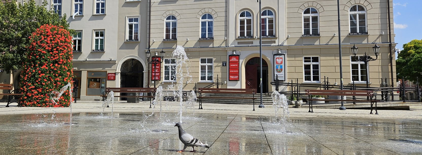 Rynek, widok na fontannę i ratusz
