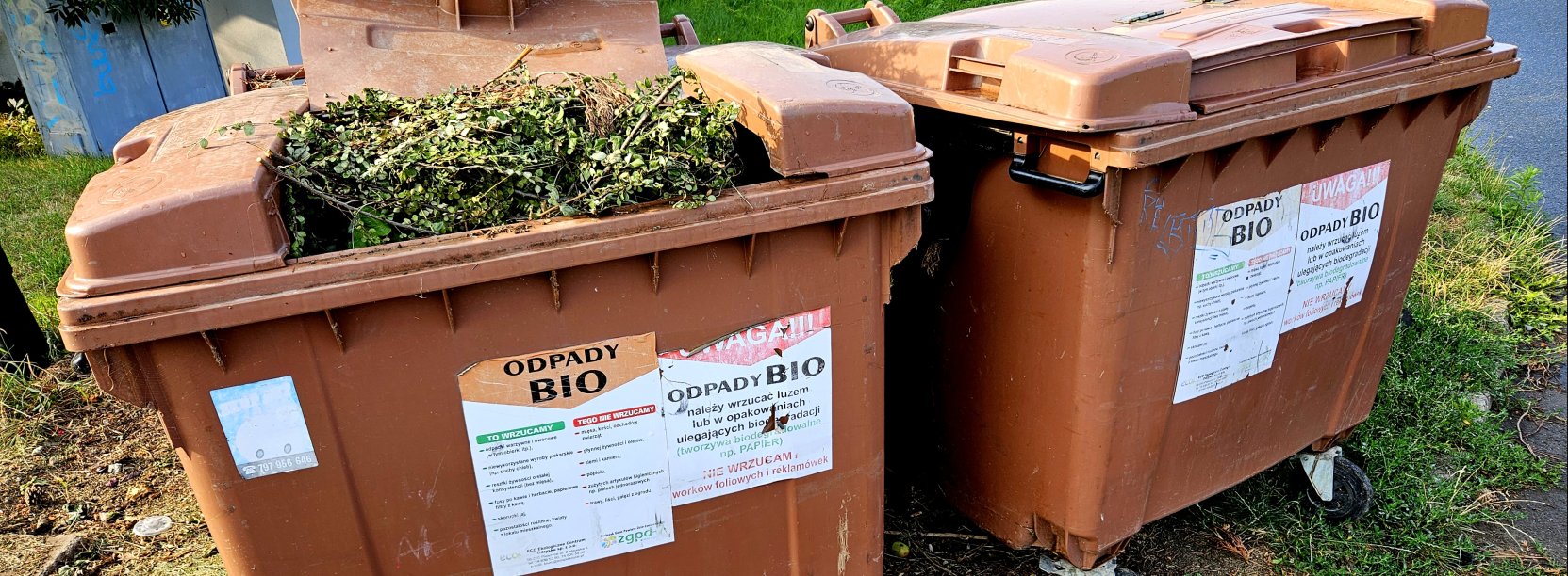 Brązowe pojemniki na bioodpady, w jednym widać wyrzucone gałęzie krzewów