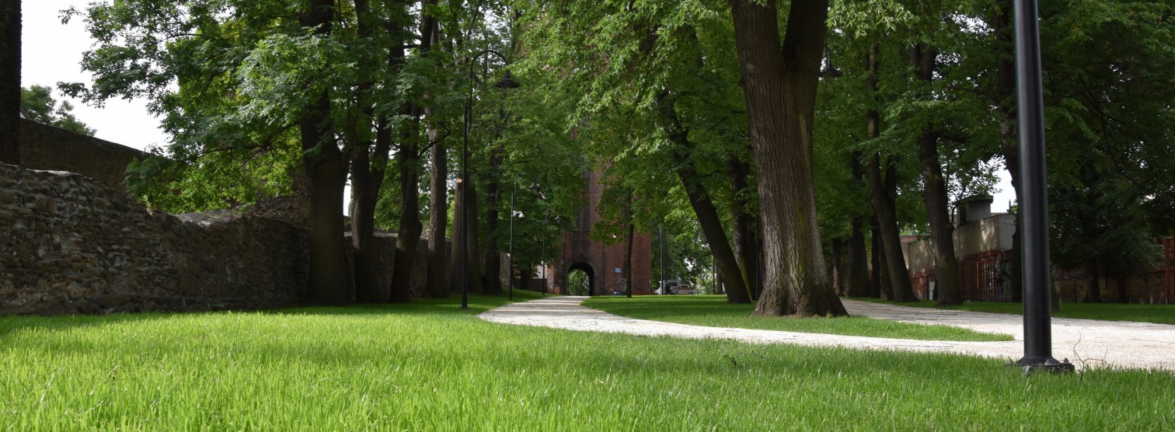 Park miejski, po lewej stronie mury obronne, po środku alejki i duże drzewa