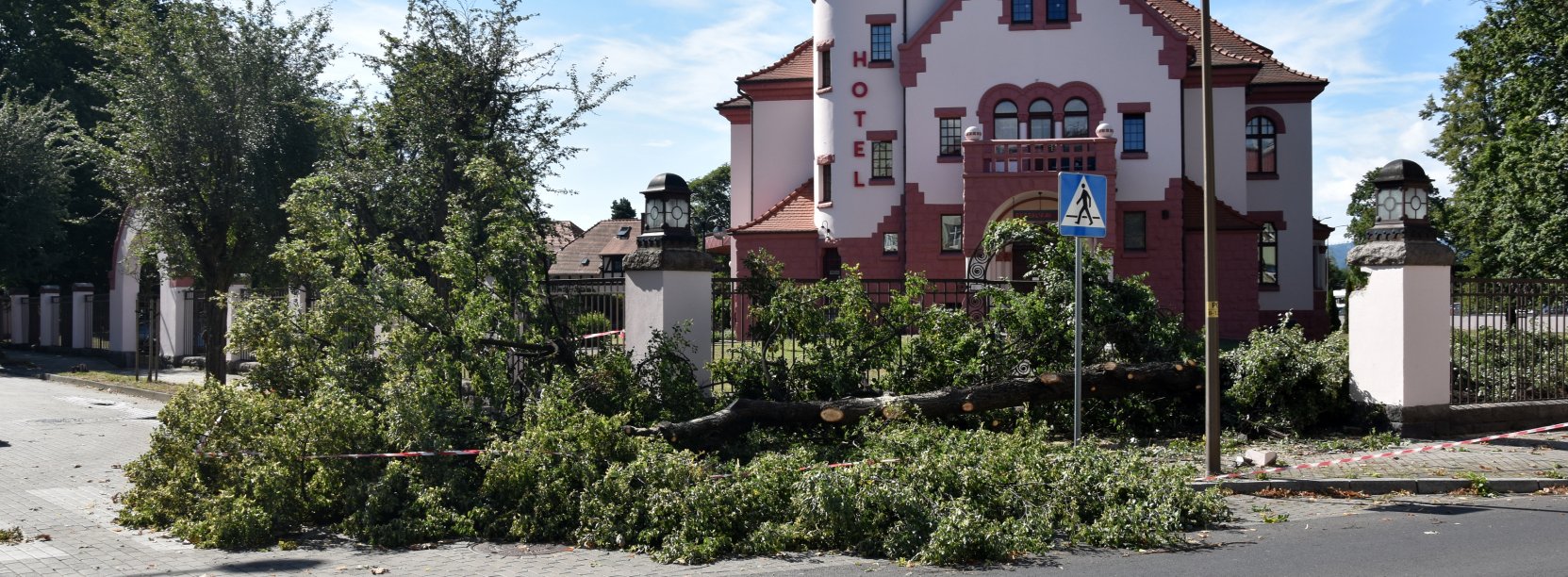 Przewrócone przez wiatr drzewo leżace na drodze, za nim zabytkowa kamienica