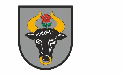 Herb Chojnic - czarna głowa byka ze złotymi rogami i czerwonym kwiatkiem 