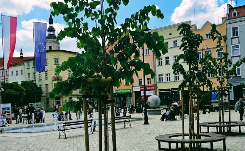 Drzewa otoczone ławkami na rynku