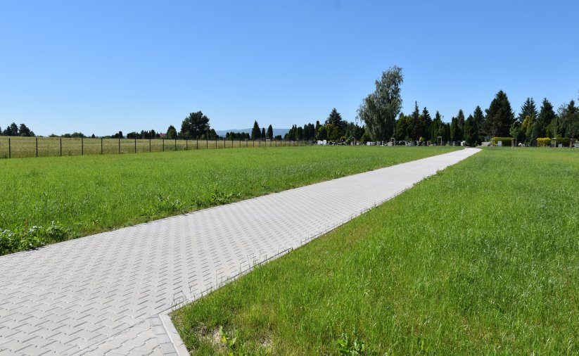 Alejka z kostki betonowej, po lewej i prawej stronie rosnąca trawa