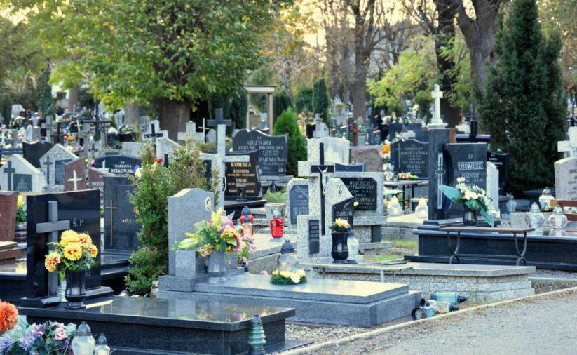 Groby ozdobione kwiatami i zniczami