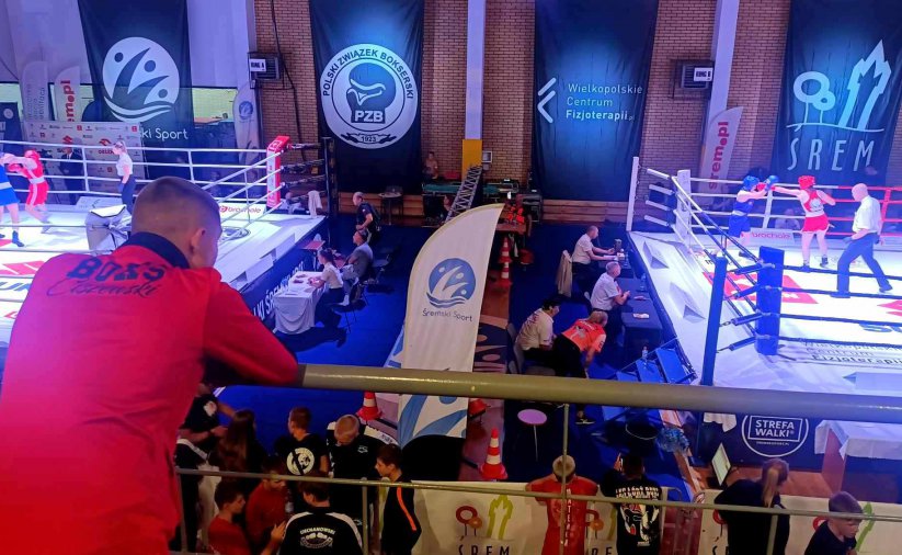 osoba w czerwonej bluzie tyłem do ekranu obserwuje walki na położonych niżej dwóch ringach bokserskich