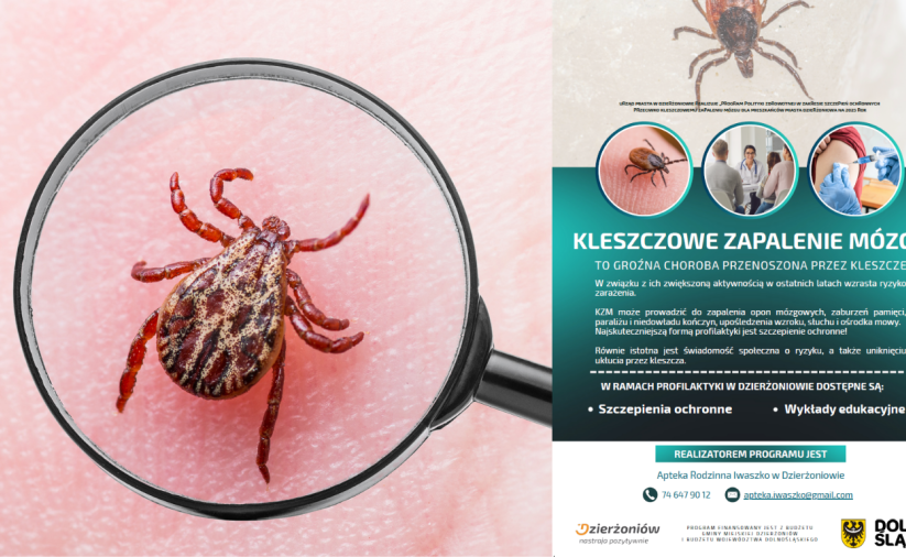 Kolaż złożony z plakatu informacyjnego o kleszczowym zapaleniu opon mózgowych i zdjęcia kleszcza