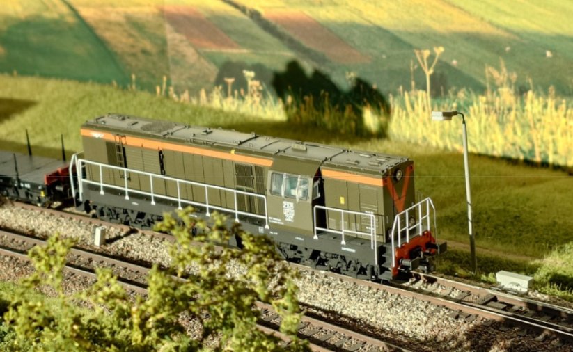 Miniaturka lokomotywy jadące po torach, w tle łąka