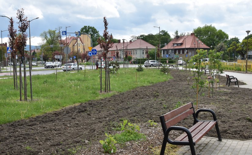 Duży teren zielony pomiędzy drogą a chodnikiem