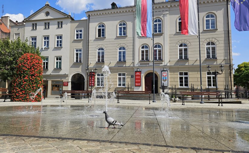 Rynek, widok na fontannę i ratusz